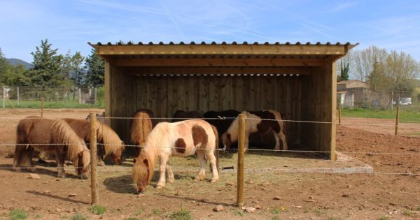 Cheval Liberte Classic Field Shelter 3m x 5m
